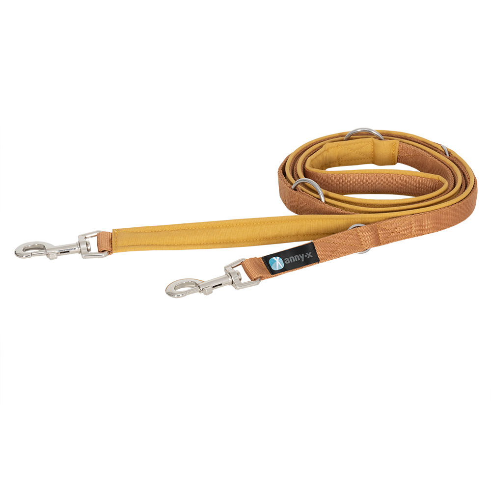 Anny·X Führleine Bolt Fun Goldglöckchen| gepolsterte Hundeleine, verstellbare Leine mit Bolzenkarabiner | Größe Classic 3 m x 2,5 cm