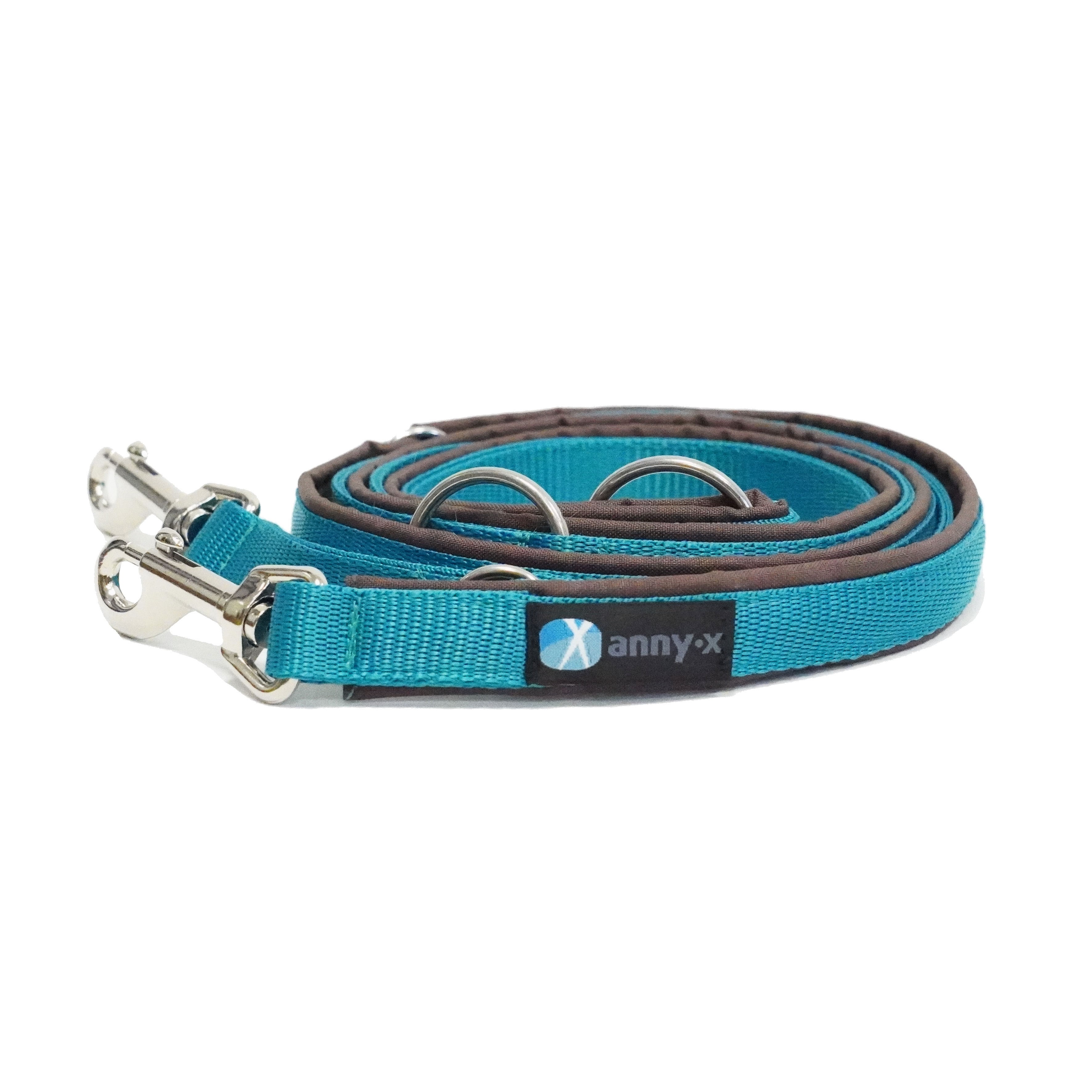 Anny·X Führleine Bolt Fun Braun-Petrol | gepolsterte Hundeleine, verstellbare Leine mit Bolzenkarabiner | Größe Classic 3 m x 2,5 cm