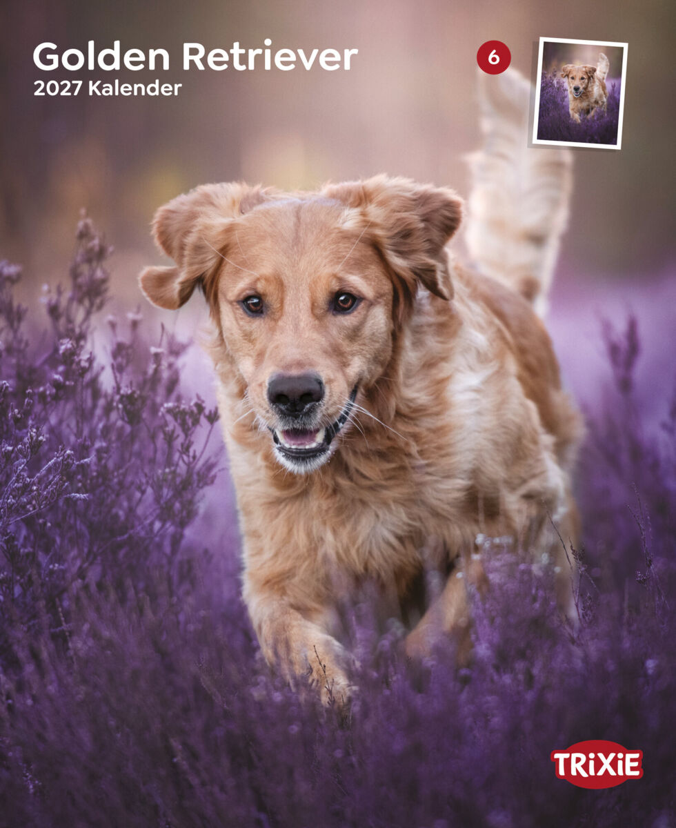 Trixie Motivkalender 2027 | Jahreskalender mit verschiedenen Motive und Themen | Kalender Golden Retriever
