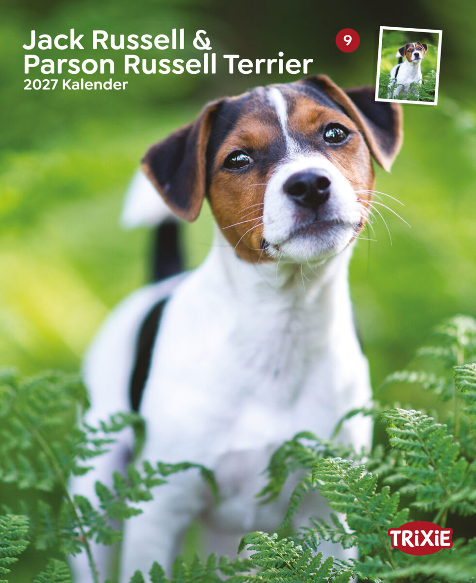 Trixie Motivkalender 2027 | Jahreskalender mit verschiedenen Motive und Themen | Kalender Jack Russell & Parson Russell Terrier