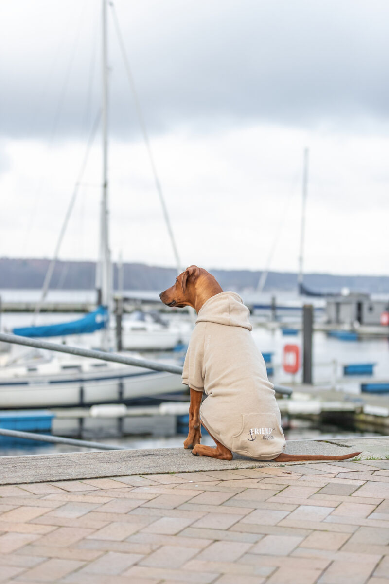 Trixie Hundepulli BE NORDIC Hoodie Flensburg | Hundepullover mit Kapuze | Farbe Sand - Gr. XS 27cm Rückenlänge
