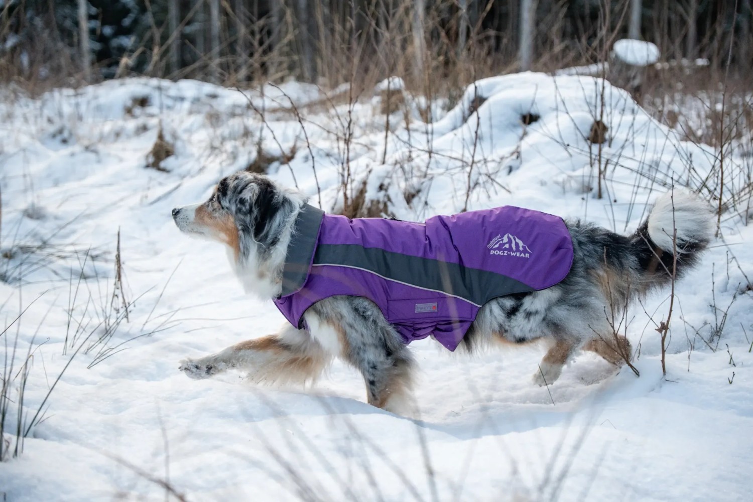 Wolters Wolters Skijacke Dogz-Wear | Wintermantel für Hunde | Farbe Lila-Grau | Größe 28 (Rückenlänge 27 - 29 cm)