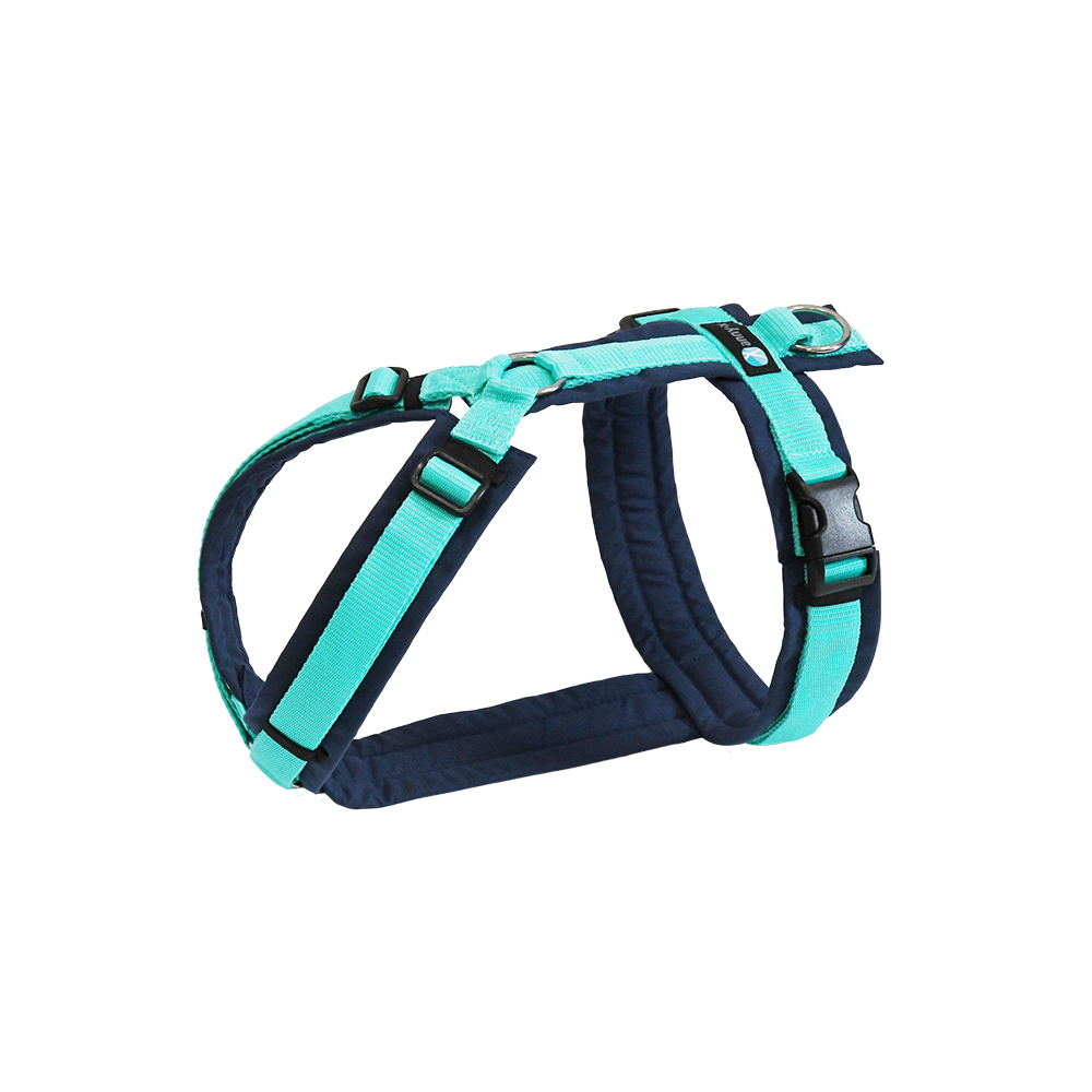 Anny-X Brustgeschirr Fun | Farbe Ozean | Hundegeschirr in verschiedenen Größen