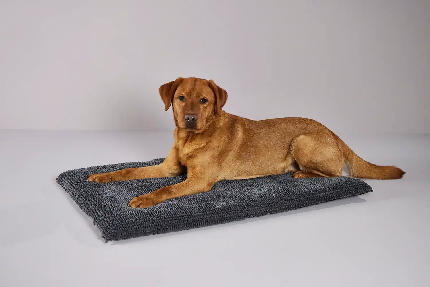 WOLTERS Cleankeeper Reise Pad | Komfortable Hundematte | Farbe Dunkelgrau - Grösse M (70 x 43 x 4,5 cm)