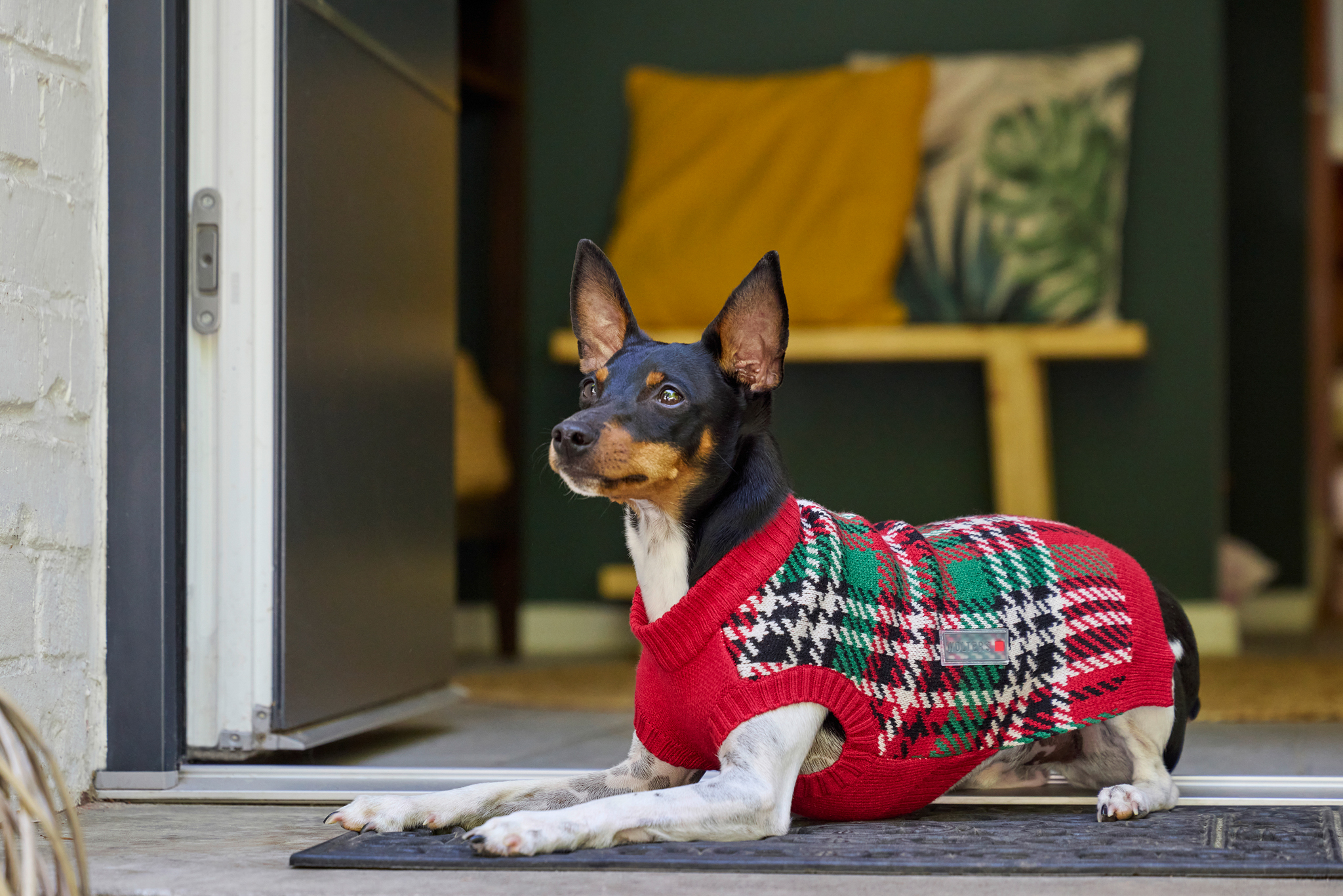 Wolters Strickpullover Karolinchen | stilvoller Hundepullover im klassischen Karomuster  | Gr. 20 (Rückenlänge 19 - 21 cm)
