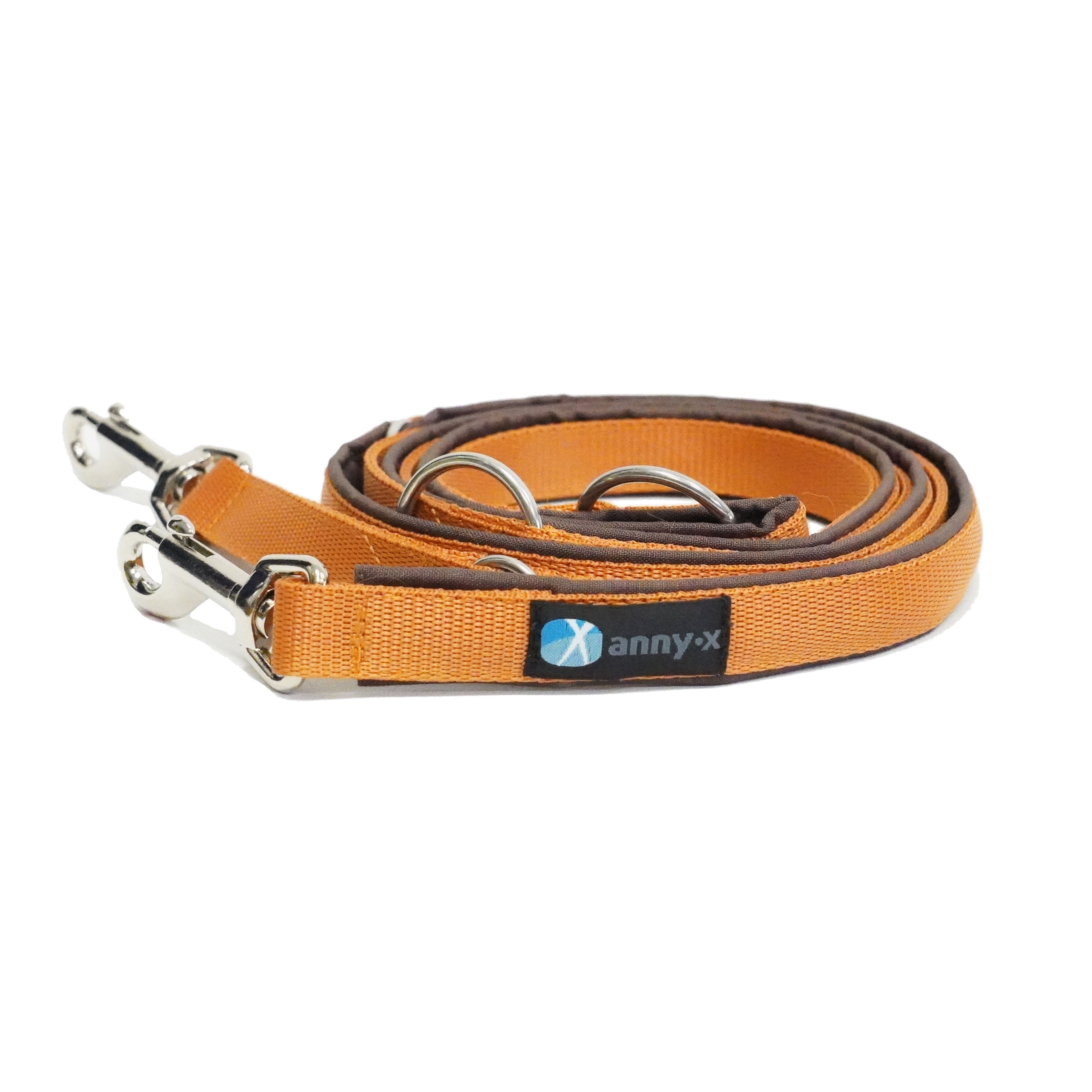 Anny·X Führleine Bolt Fun Braun-Bernstein | gepolsterte Hundeleine, verstellbare Leine mit Bolzenkarabiner | Größe Classic 3 m x 2,5 cm