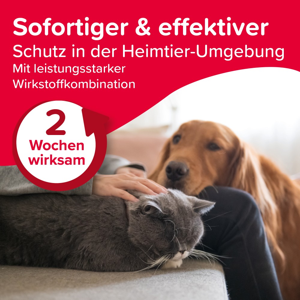 Beaphar VETOplus Parasiten Spray | Sofortschutz gegen Ungeziefer | Spraydose 400 ml