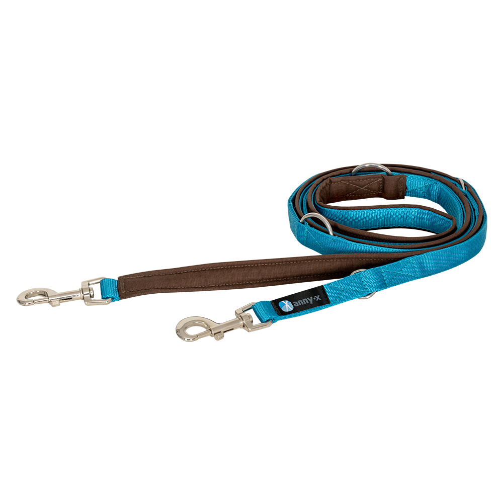 Anny·X Führleine Bolt Fun Braun-Petrol | gepolsterte Hundeleine, verstellbare Leine mit Bolzenkarabiner | Größe Classic 3 m x 2,5 cm