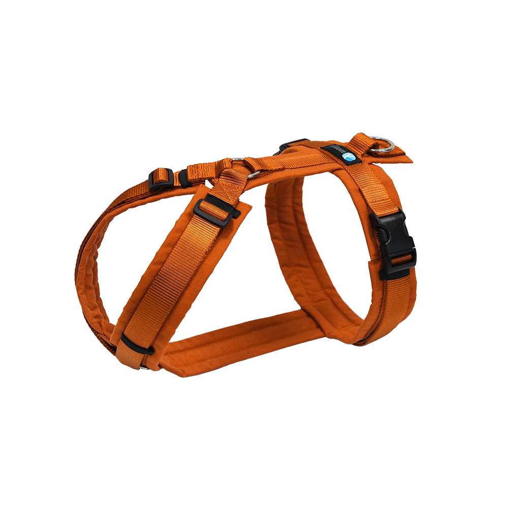 Anny-X Brustgeschirr Fun Ahorn | Hundegeschirr Größe M (Brustumfang 62 - 74 cm)