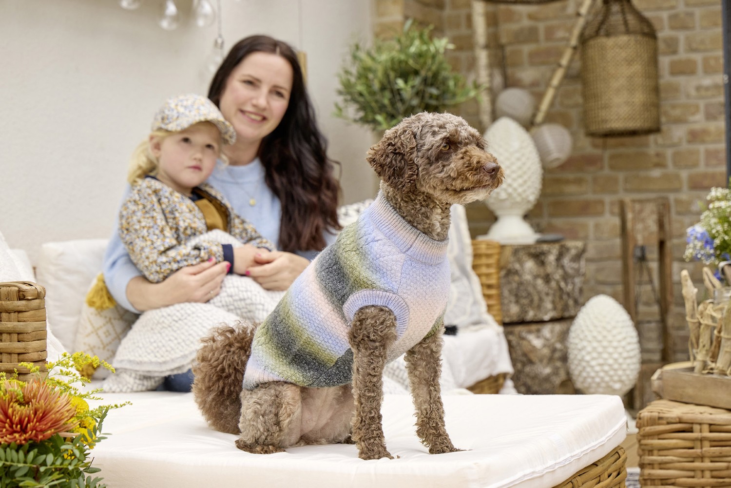 Wolters Strickpullover Marinello | Hundepullover mit Farbverlauf | Gr. 20 (Rückenlänge 19 - 21 cm)