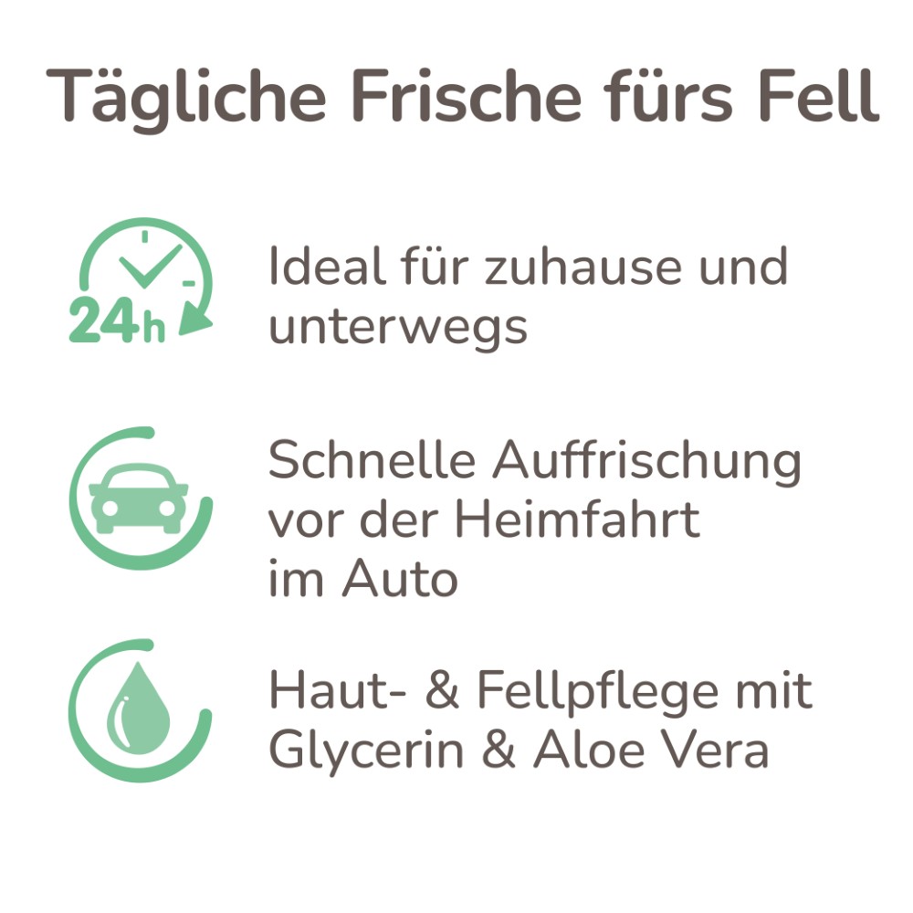 Beaphar Nasser Hund Spray | Fellpflege und Geruchsneutralisier für Hunde | Zerstäuber 250 ml