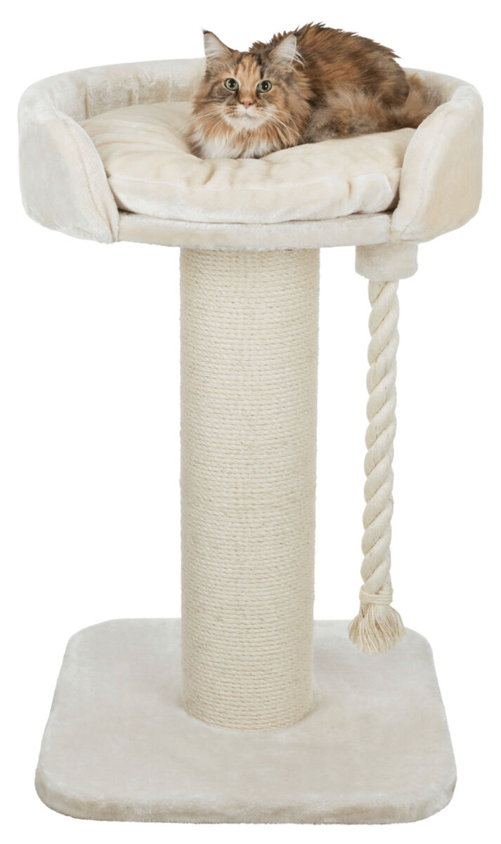 Trixie Kratzbaum XXL Klara | stabiler Katzenkratzbaum mit Kuschelbett | Farbe Creme - Maße 60x60x100 cm