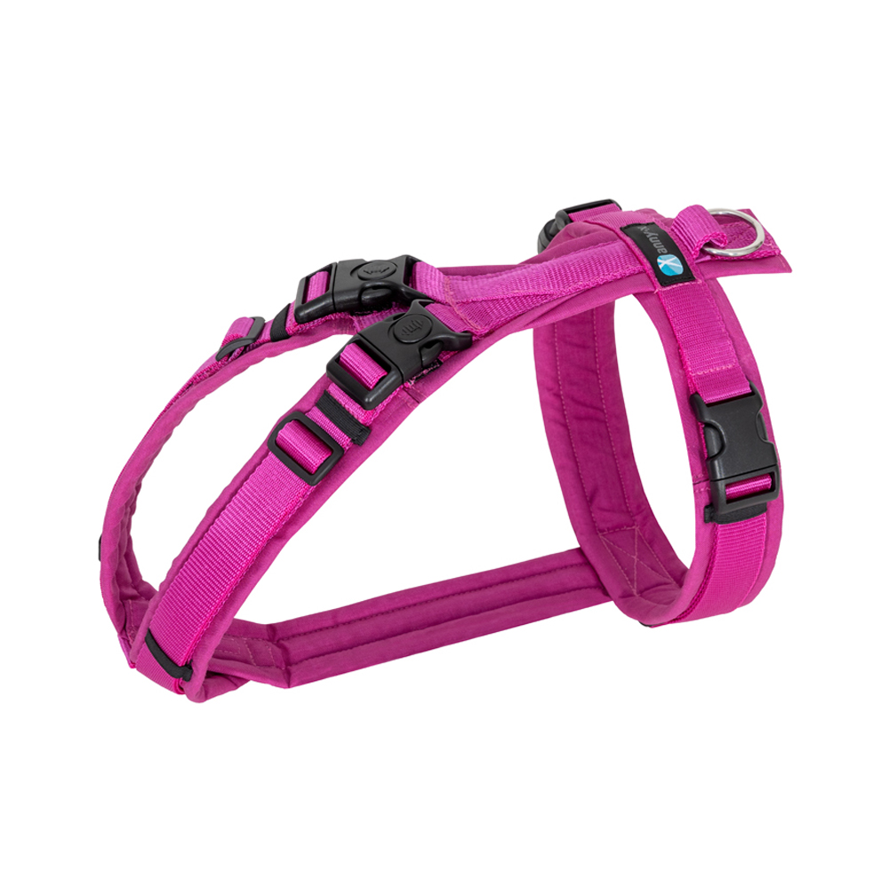 Anny-X Brustgeschirr Open Fun | Hundegeschirr für sensible Hunde | Farbe Sonnenhut | Gr. S (Brustumfang 52-64cm)