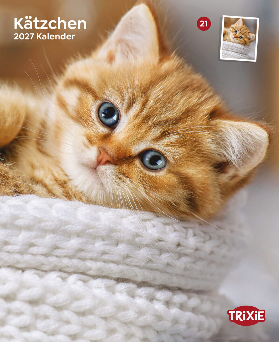 Trixie Motivkalender 2027 | Jahreskalender mit verschiedenen Motive und Themen | Kalender Kätzchen