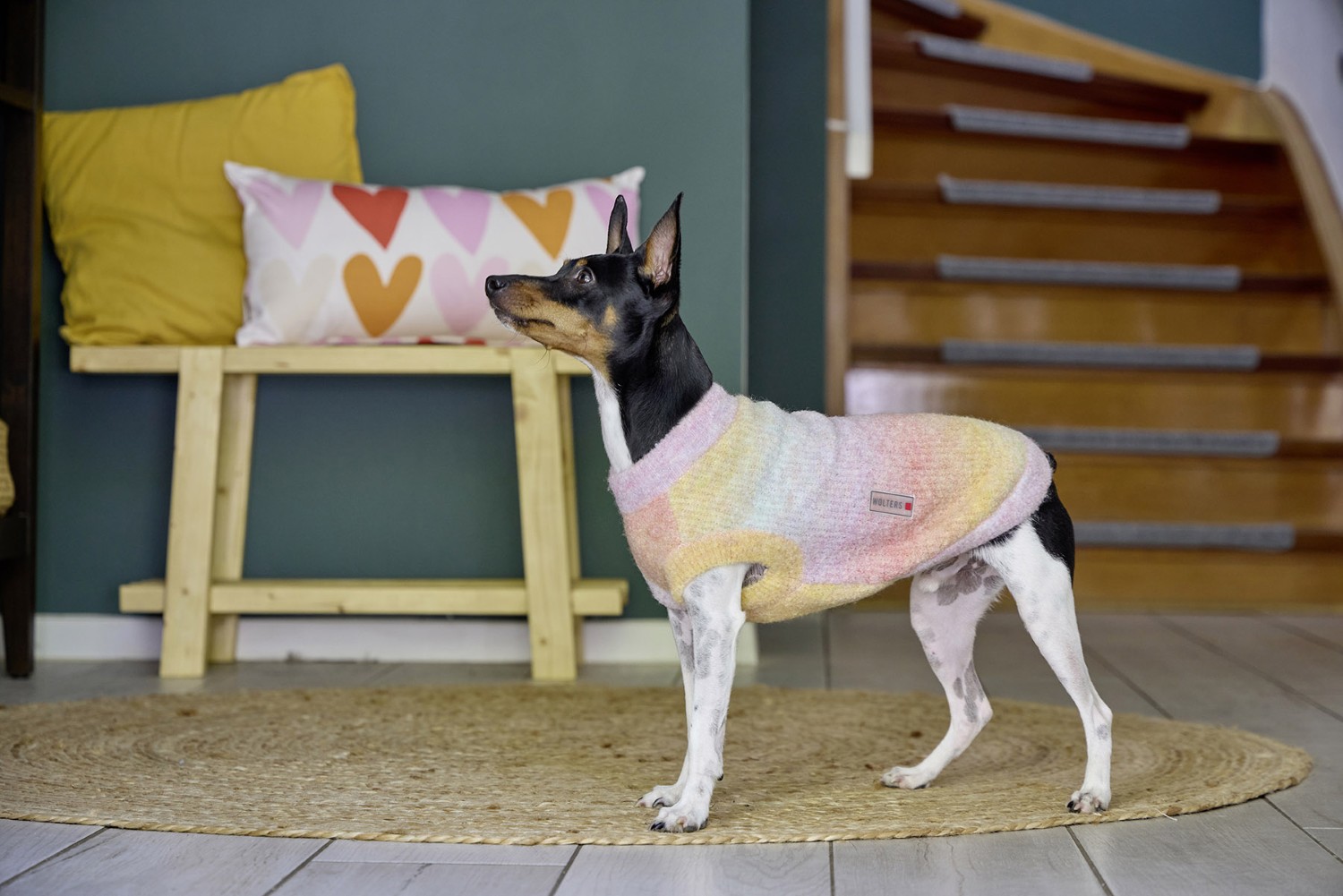 Wolters Strickpullover Hundepullover mit pastellfarbenen Verlauf | Gr. 20 (Rückenlänge 19 - 21 cm)