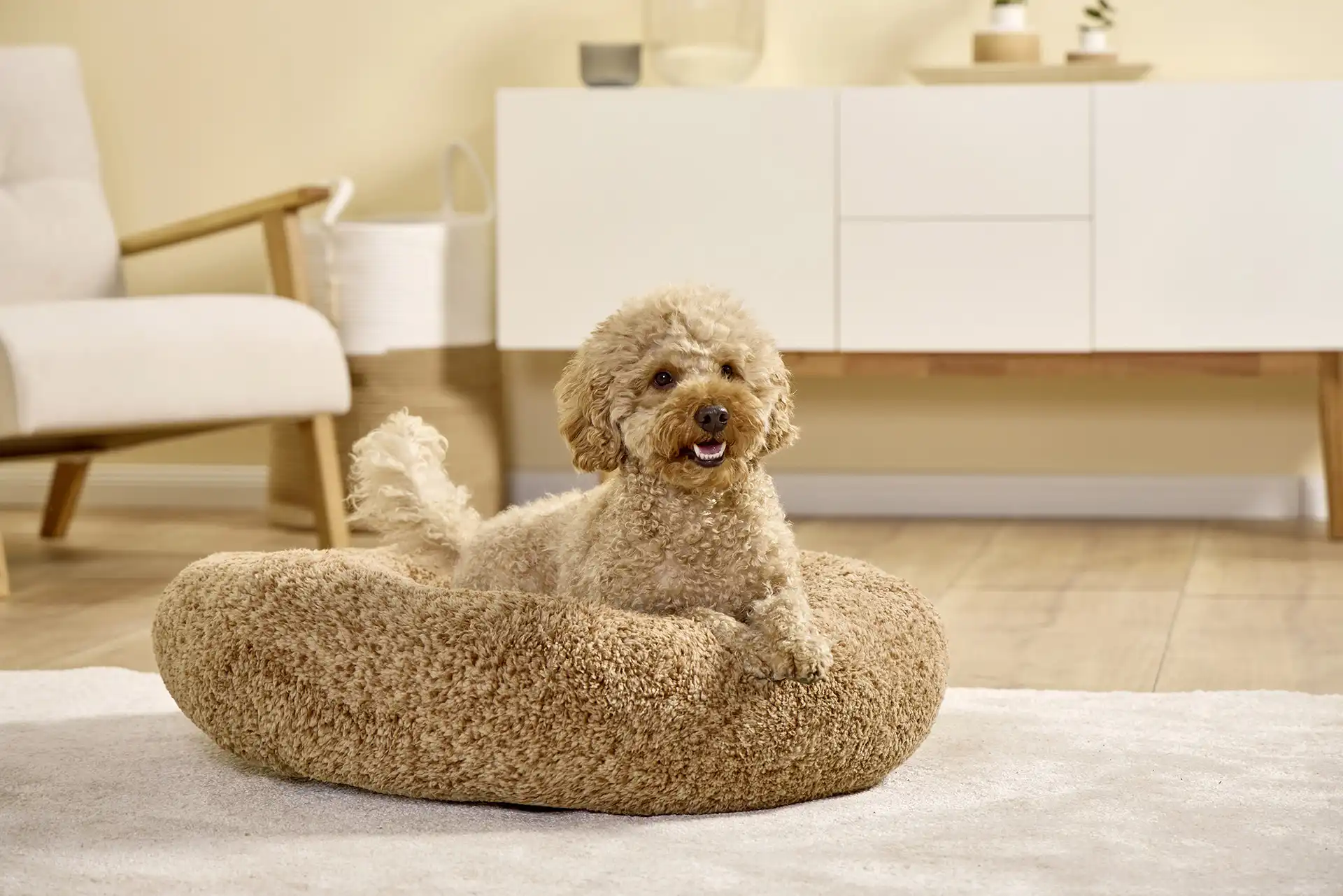 Wolters Hundekörbchen Sweet Dreams | Hundebett aus besonders kuscheligem Plüschfell | verschiedene Farben und Größen