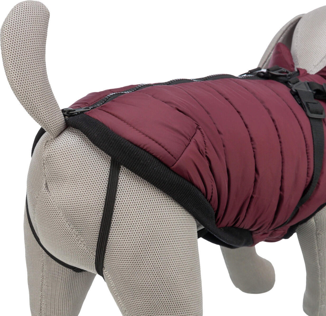 Trixie Wintermantel Pirou | Geschirr-Wintermantel für Hunde – warm, wasserdicht | Farbe Sangria | Gr. XS 24 cm