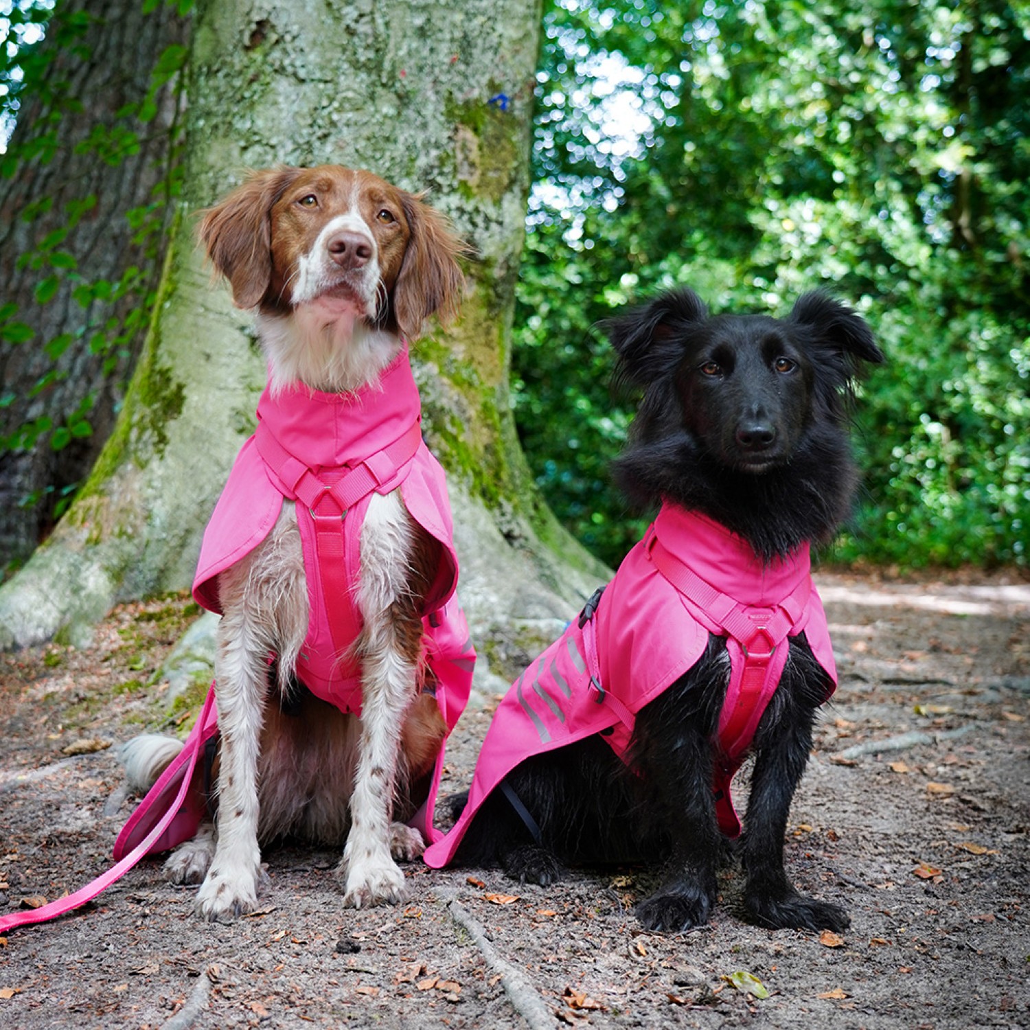 Anny-X Mantelgeschirr Lightning Leuchtpink| Hundegeschirr mit integriertem Regenschutz | Gr. L | 68 cm