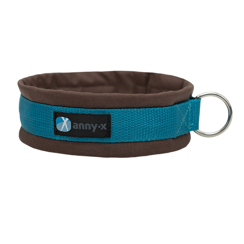 Anny·X Steckhalsband Fun Braun-Petrol | Gepolstertes Hundehalsband | Größe 2 (27-33 cm)