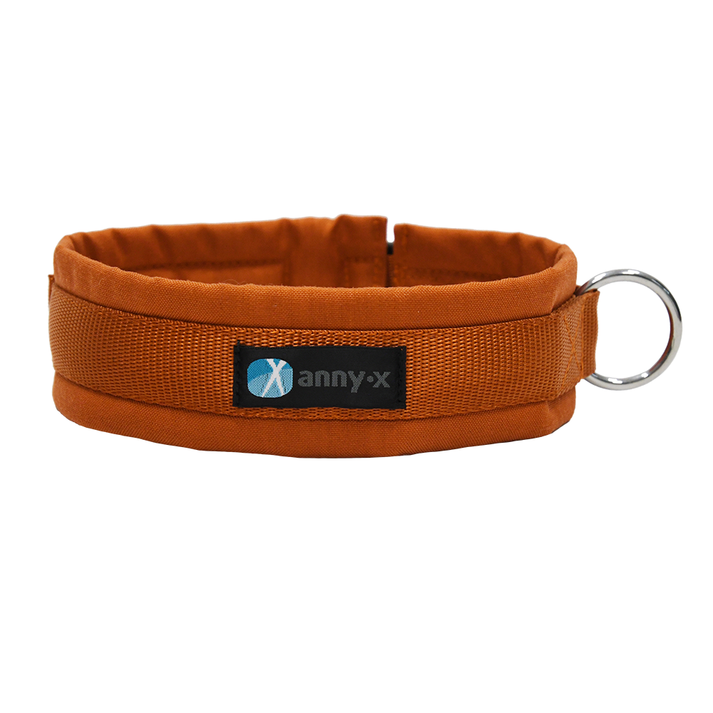 Anny·X Steckhalsband Fun Ahorn | Gepolstertes Hundehalsband | Größe 5 (42-48 cm)