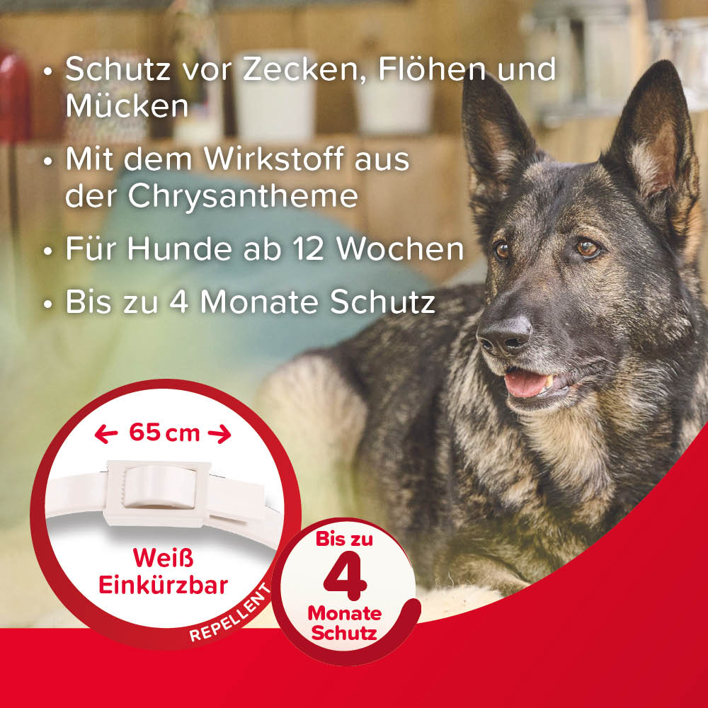 Beaphar VETOplus Parasiten Halsband 65 cm, Weiß | Repellent bis zu 4 Monate lang Schutz vor Ektoparasiten | für kleine bis große Hunde