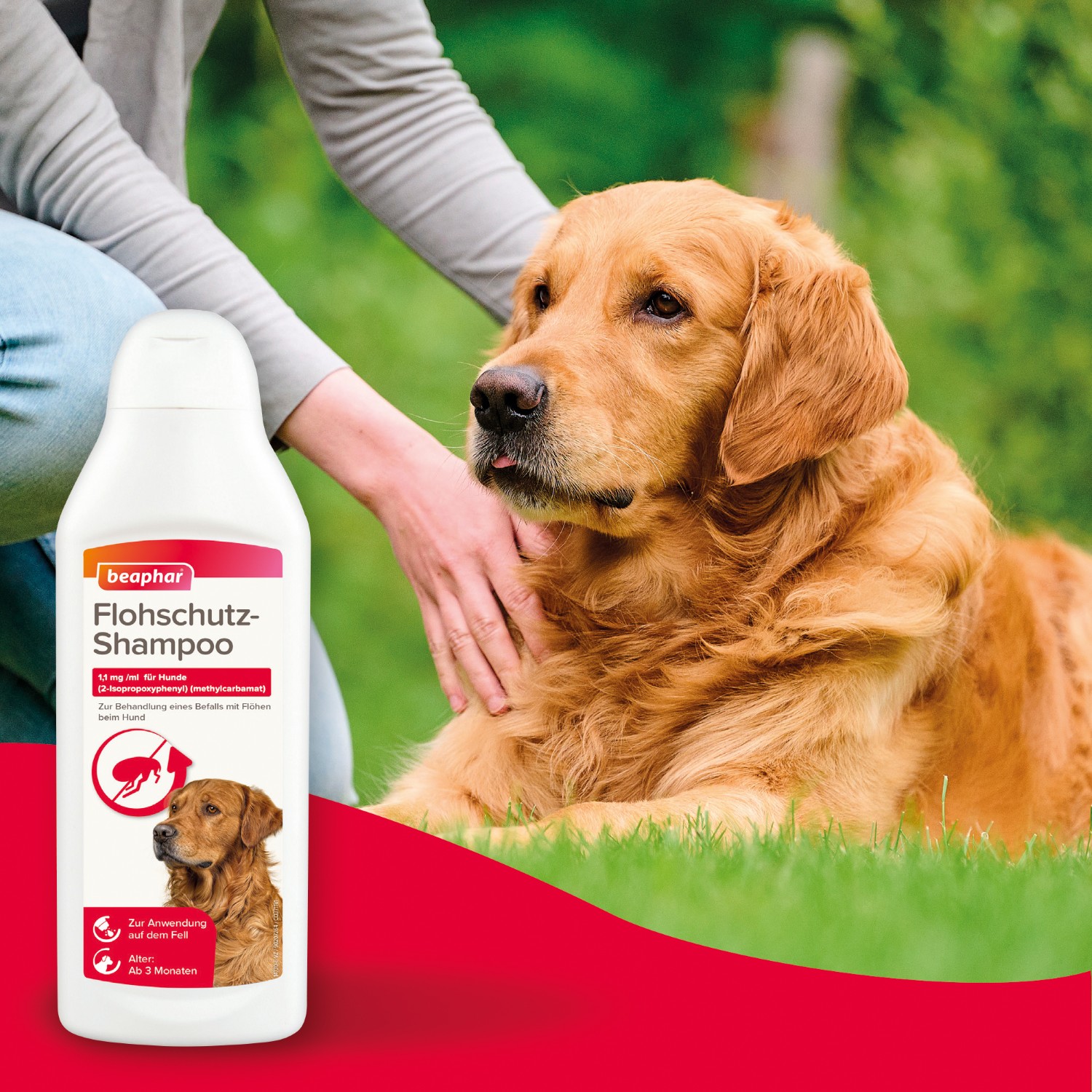 Beaphar Flohschutz-Shampoo | Soforthilfe gegen Flöhe für Hunde und Katzen | Flasche 250 ml
