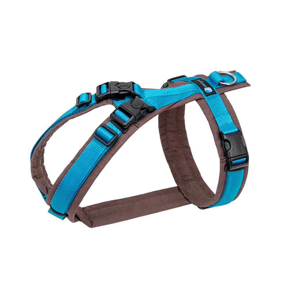 Anny-X Brustgeschirr Open Fun | Hundegeschirr für sensible Hunde | Farbe Braun-Petrol | Gr. S (Brustumfang 52-64cm)