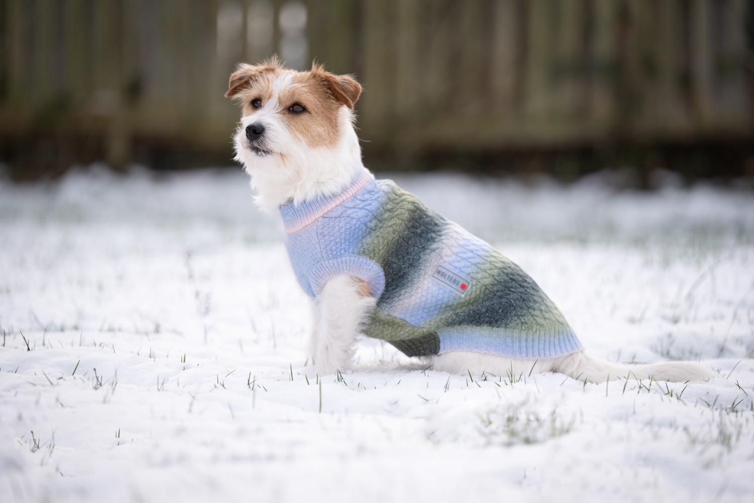 Wolters Strickpullover Marinello | Hundepullover mit Farbverlauf | Gr. 20 (Rückenlänge 19 - 21 cm)
