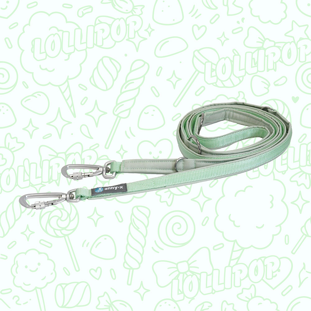 Anny·X Führleine Safety Fun Lollipop | 4-fach verstellbare Hundeleine gepolstert | Länge 3 m - Candy Colors