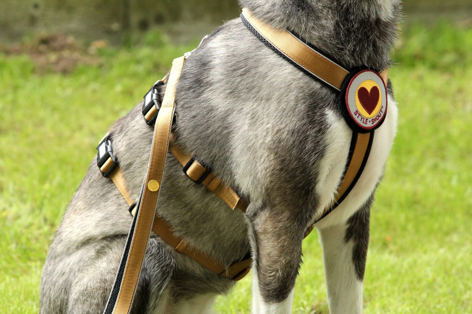 StyleSnout® Patch&Safe Brustgeschirr Gold | Sicherheits-/No-Escape-Geschirr | Gr. XXS (Bruststeglänge 21 cm) - 3,5 bis 5,5 kg