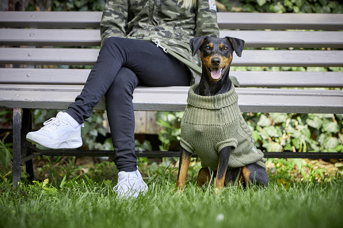 Wolters Strickpullover Zopf Oliv | Hundepullover mit schönem Zopf-Strickmuster | Gr. 20 (Rückenlänge 19 - 21 cm)