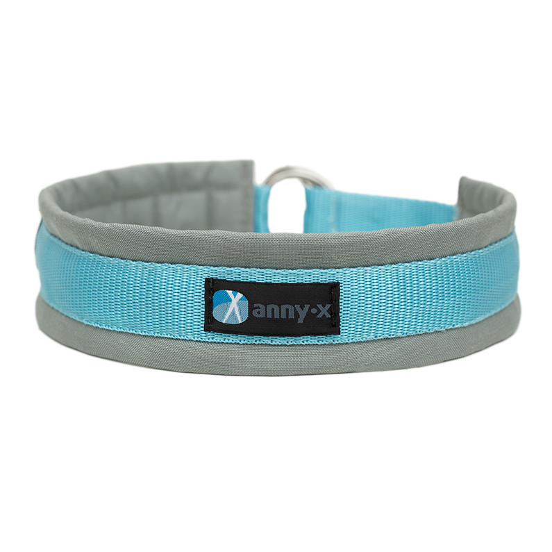 Anny·x Zugstopphalsband Fun Grau-Eisblau | Bequemer Sitz ohne Schliessen | Größe 2 (27-33 cm)