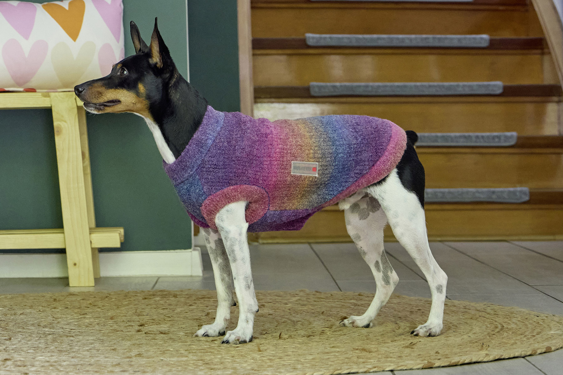 Wolters Strickpullover Rainbow | Farbenfroher Hundepullover mit schönem Farbverlauf  | Gr. 20 (Rückenlänge 19 - 21 cm)