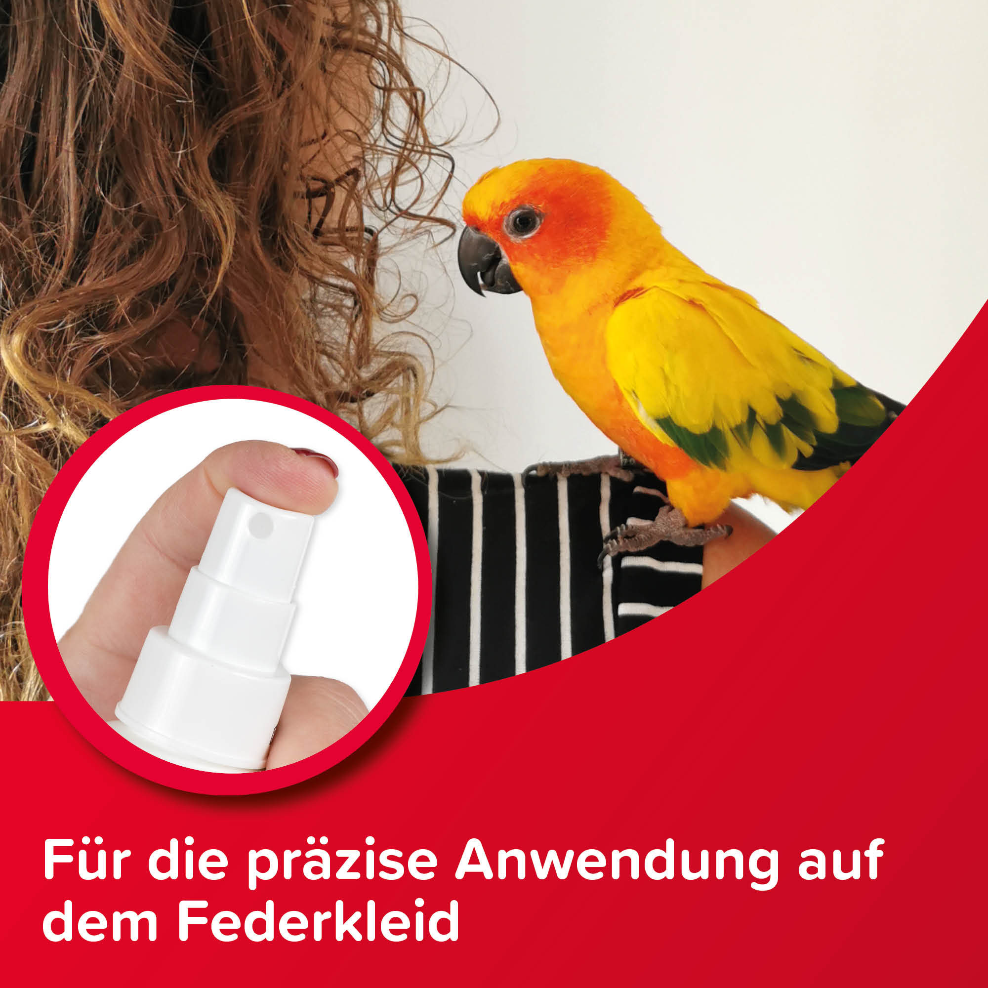 Beaphar VETOplus Milben-Zerstäuber für Vögel | Sofortschutz vor Parasiten | Flasche 100 ml