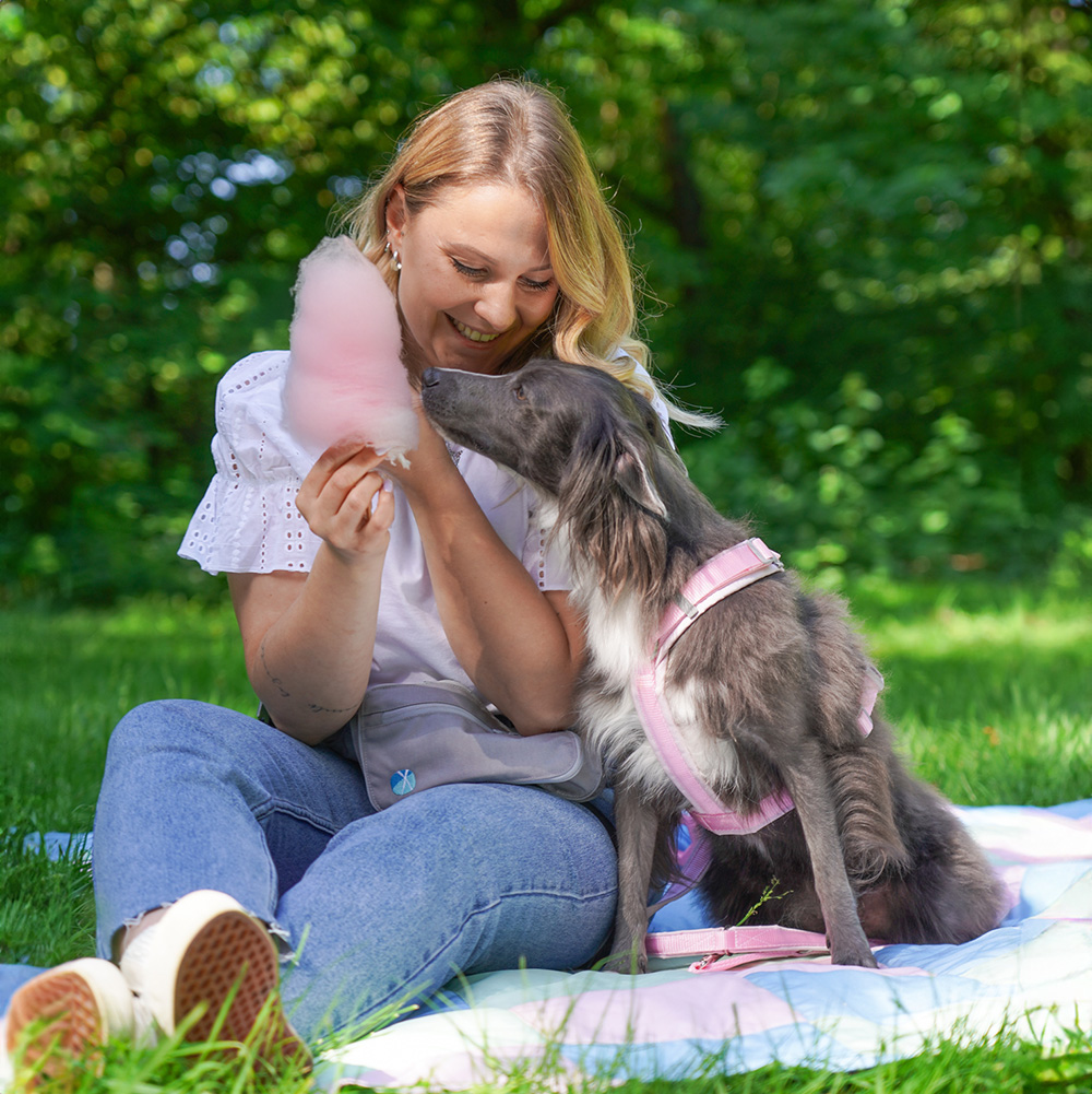 Anny-X Brustgeschirr Fun Zuckerwatte | Hundegeschirr Größe XS (Brustumfang 43 - 52 cm)