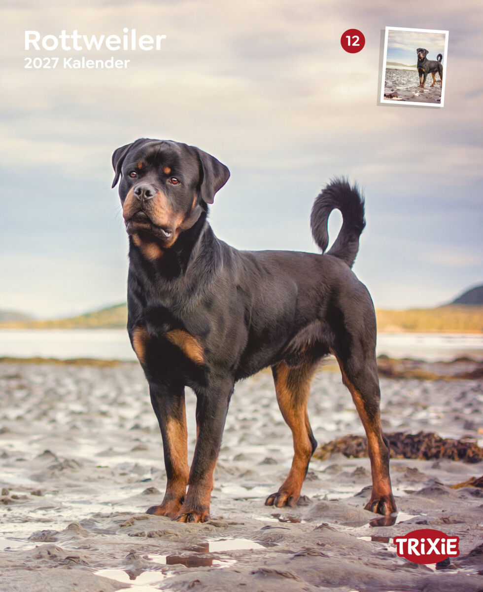 Trixie Motivkalender 2027 | Jahreskalender mit verschiedenen Motive und Themen | Kalender Rottweiler