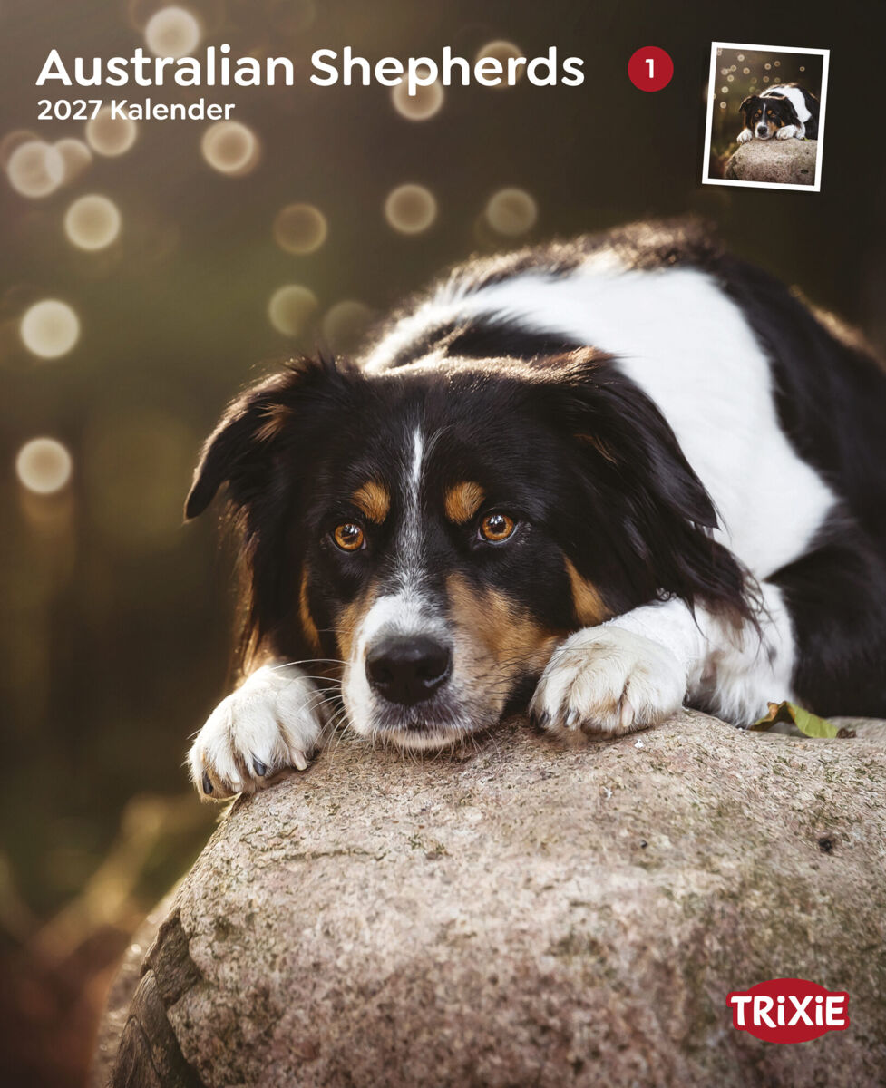 Trixie Motivkalender 2027 | Jahreskalender mit verschiedenen Motive und Themen |  Kalender Australian Shepherd