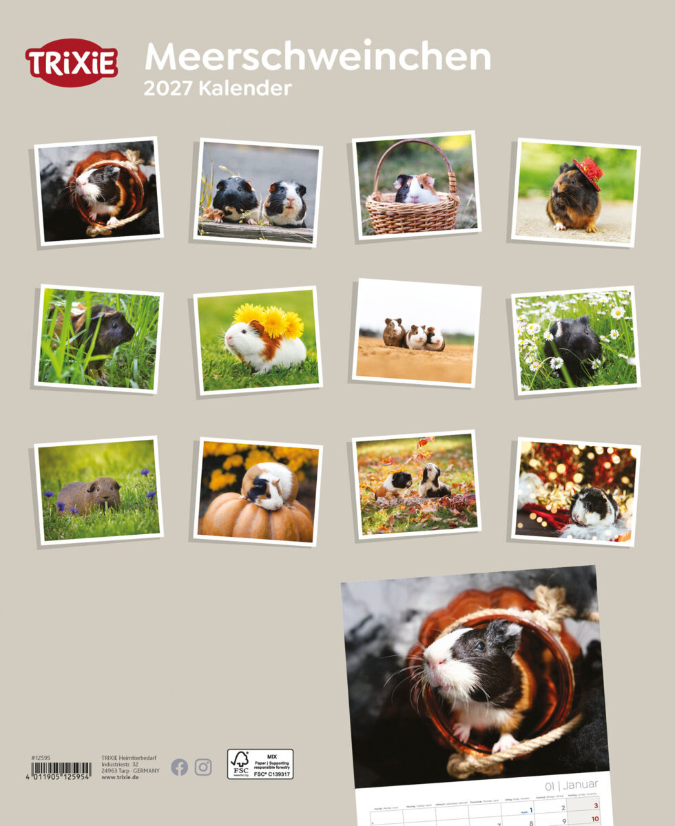 Trixie Motivkalender 2027 | Jahreskalender mit verschiedenen Motive und Themen | Kalender Meerschweinchen