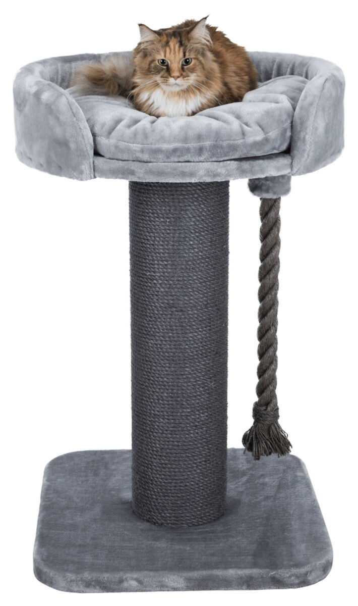 Trixie Kratzbaum XXL Klara | stabiler Katzenkratzbaum mit Kuschelbett | Farbe Grau - Maße 60x60x100 cm