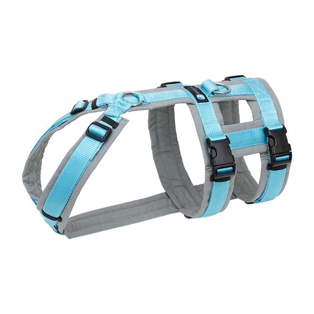 Anny-X Brustgeschirr Safety Fun Grau-Eisblau | Ausbruchsicheres Hundegeschirr mit Taillengurt | Größe S (Brustumfang 52 - 64 cm)