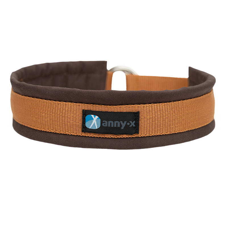 Anny·x Zugstopphalsband Fun Braun-Bernstein | Bequemer Sitz ohne Schliessen | Größe 2 (27-33 cm)