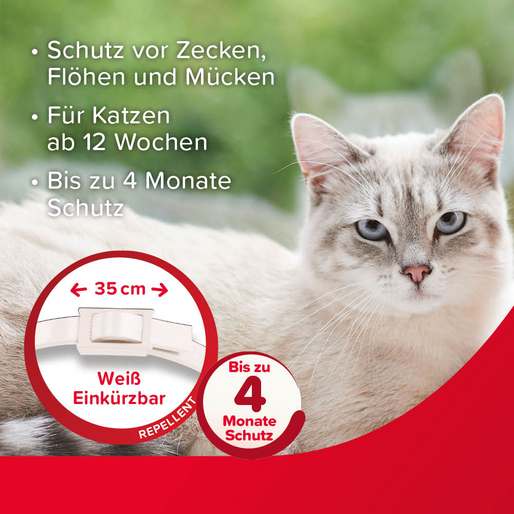 Beaphar VETOplus Parasiten Halsband 35 cm, Weiß | Repellent bis zu 4 Monate lang Schutz vor Ektoparasiten | für alle Katzen