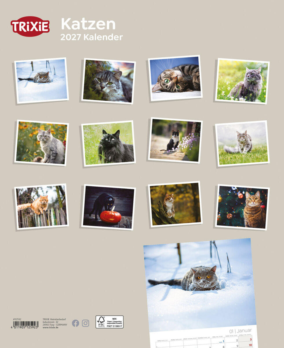 Trixie Motivkalender 2027 | Jahreskalender mit verschiedenen Motive und Themen | Kalender Katzen