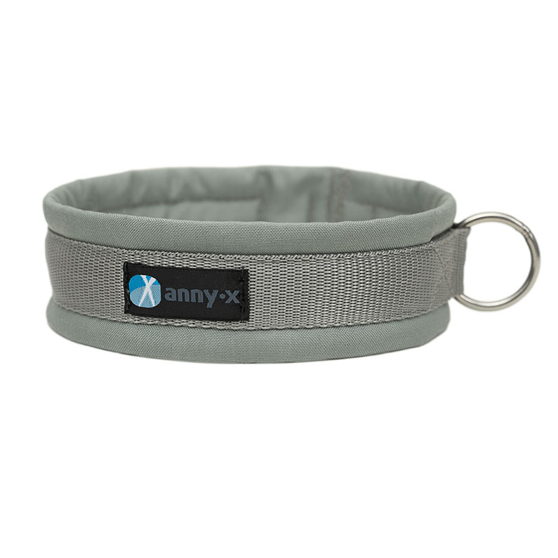 Anny·X Steckhalsband Fun Grau-Silber | Gepolstertes Hundehalsband | Größe 3 (32-38 cm)