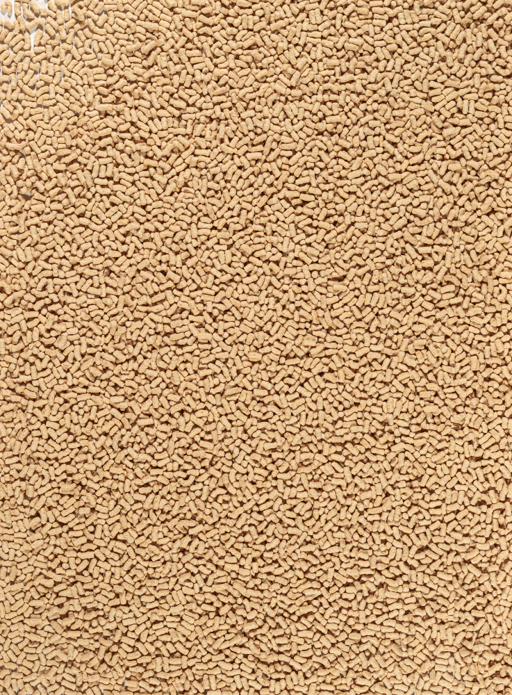 Tetra Pond Sticks | Alleinfuttermittel für Zierfische | Menge 50 l = 5,25 kg