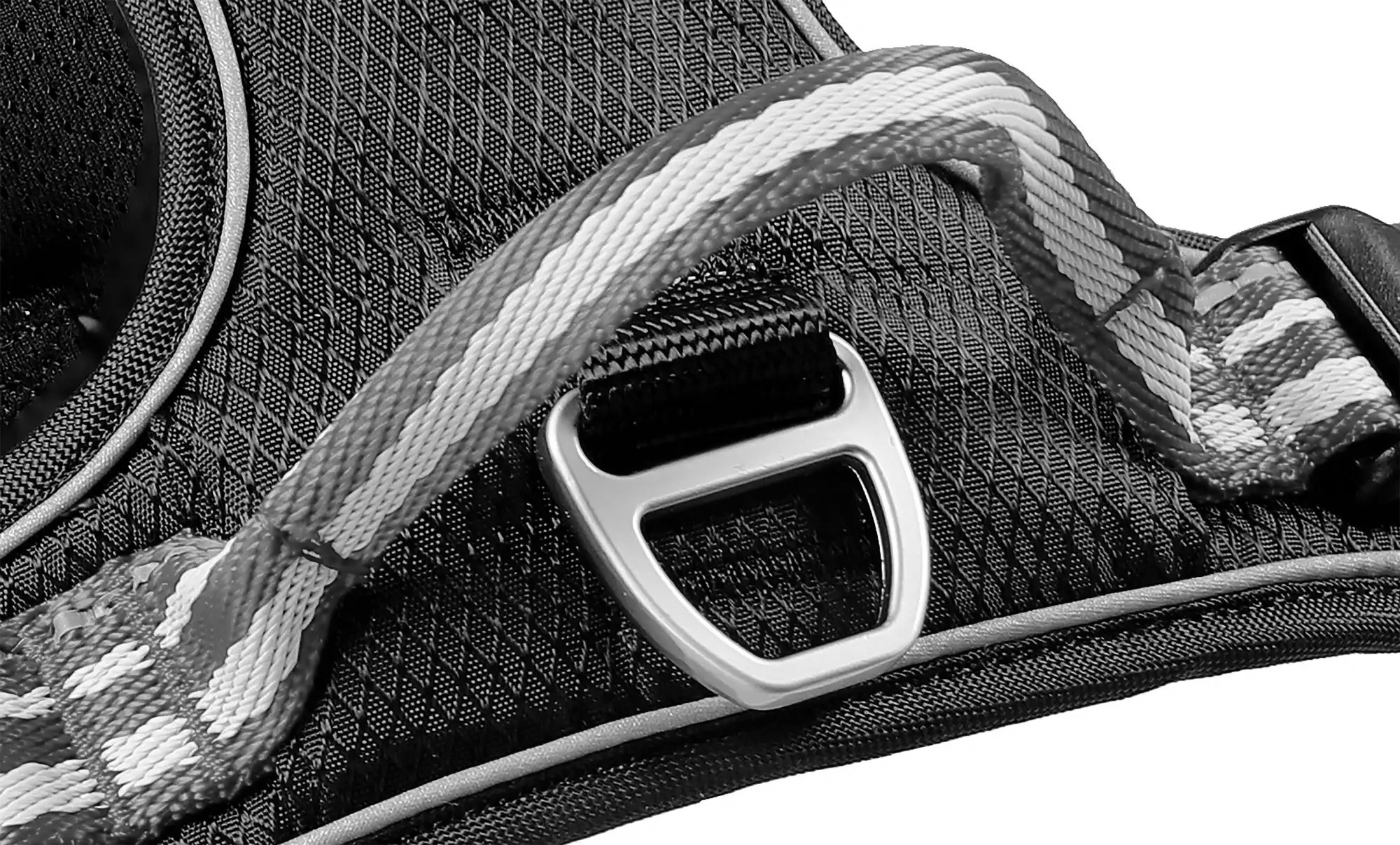 WOLTERS Active Pro Hundegeschirr | Leicht, komfortabel & sicher | Champagner-Silber | Gr. 1 (40 - 47,5 cm) - Breite 15 mm