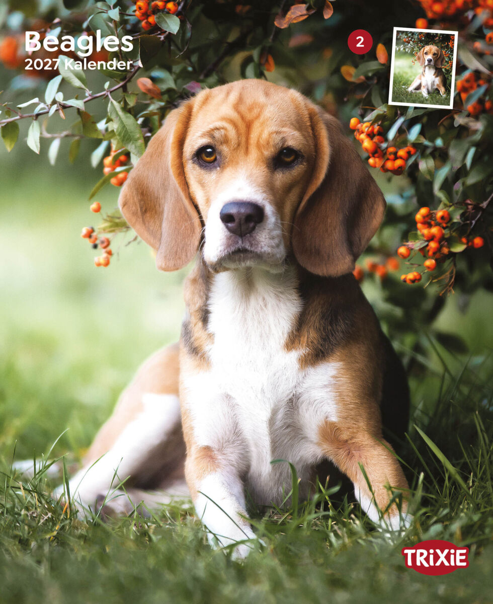 Trixie Motivkalender | Jahreskalender mit verschiedenen Motive und Themen |  Kalender Beagle