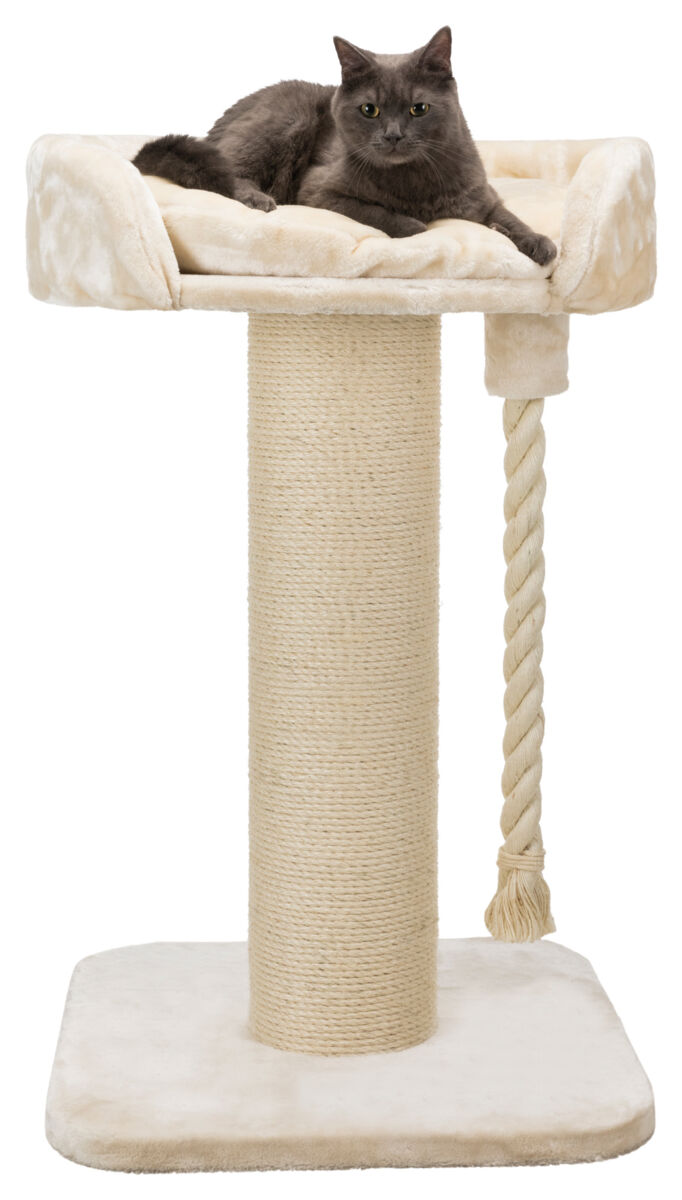 Trixie Kratzbaum XXL Klara | stabiler Katzenkratzbaum mit Kuschelbett | Farbe Creme - Maße 60x60x100 cm