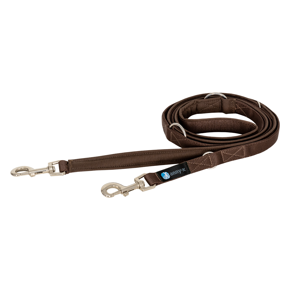 Anny·X Führleine Bolt Fun | verstellbare Hundeleine | gepolsterte Leine mit Bolzenkarabiner | Größe Classic- Farbe Braun-Braun