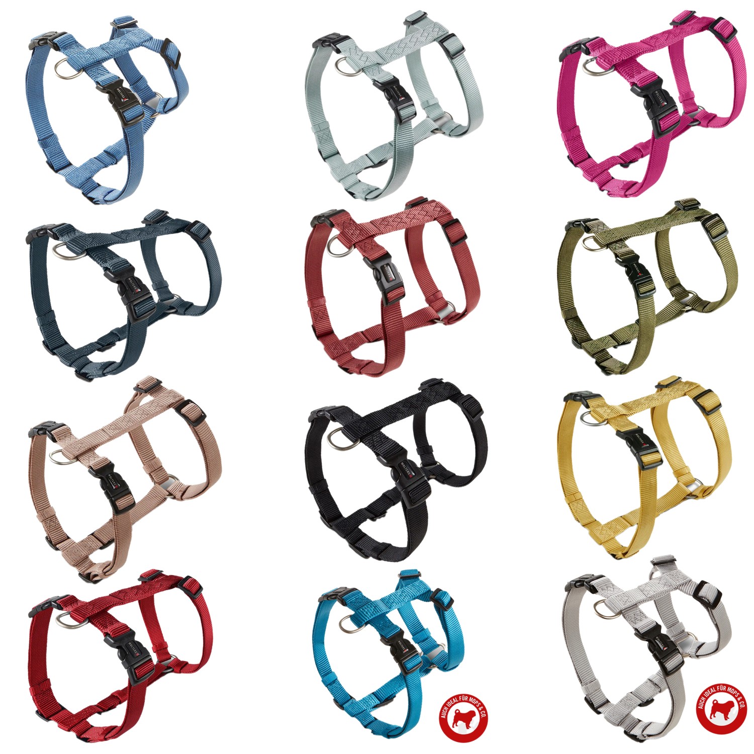 WOLTERS Professional Hundegeschirr | verstellbares Nylon-Geschirr für Hunde | Champagner - Gr. XS  (Brustumfang 25-35 cm, Breite 10 mm)